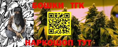 индика Заволжье