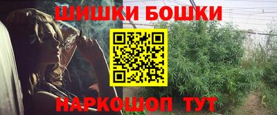 индика Заволжье